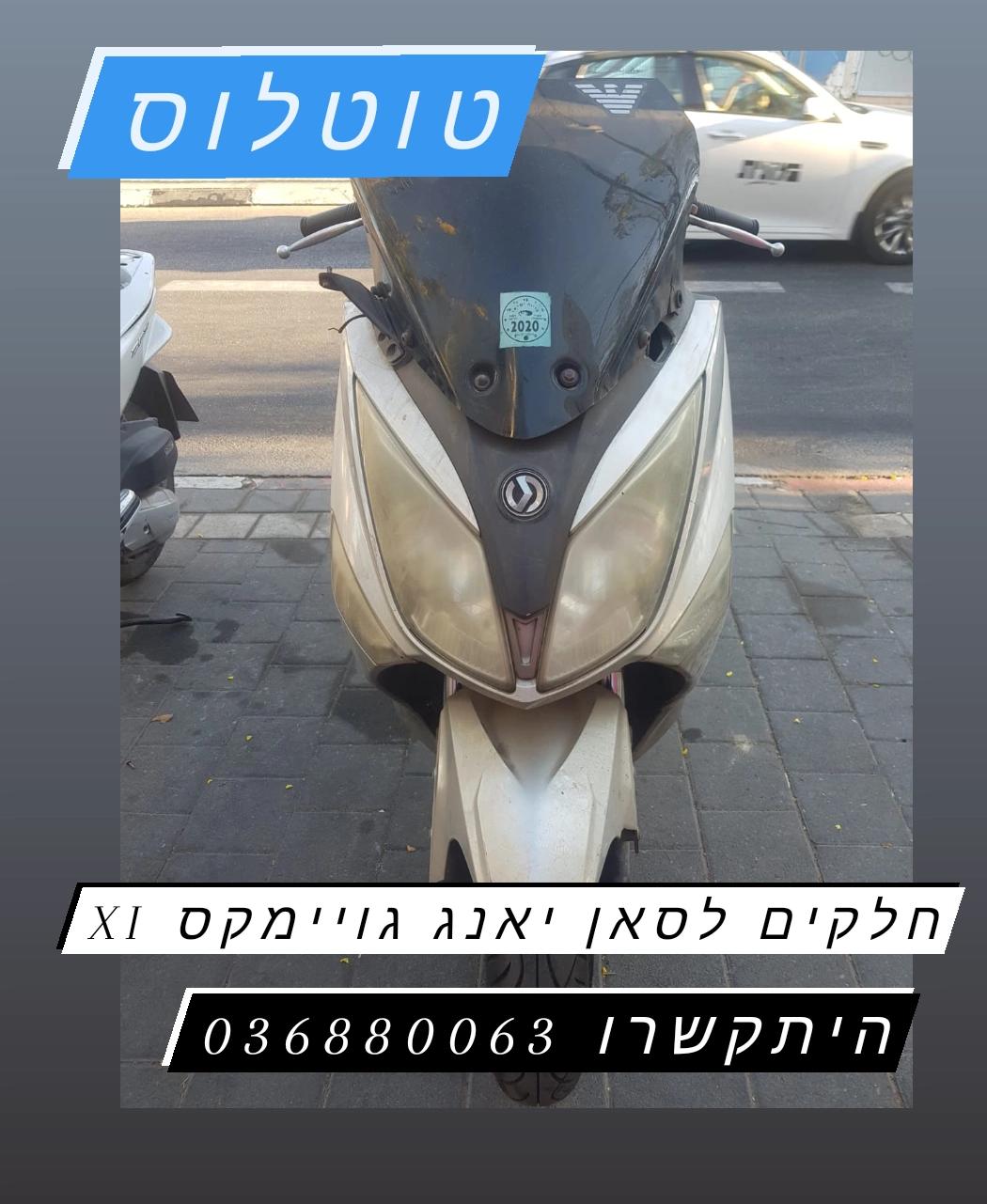 גוימקס XI 250 2015