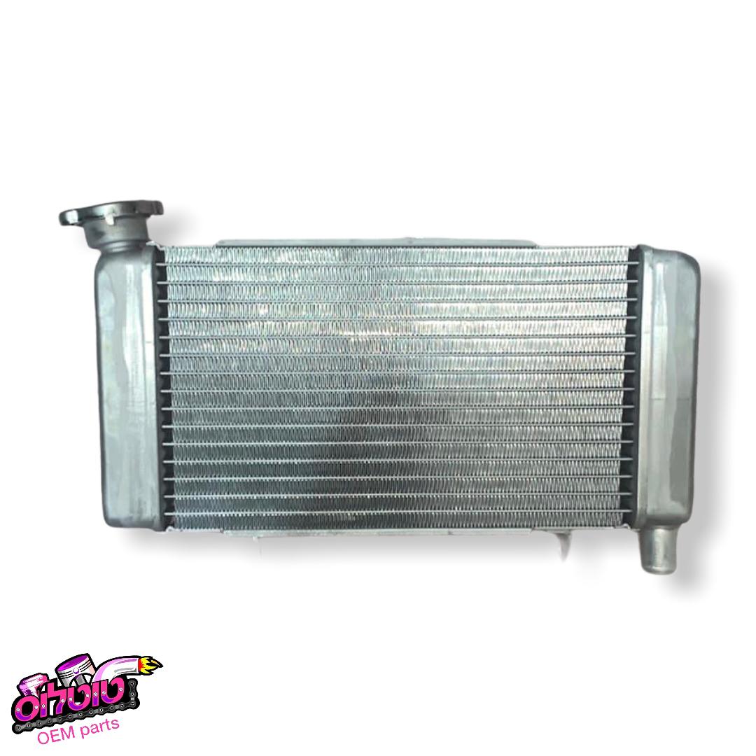 CBR 250 רדיאטור