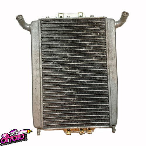 XEVO 250 רדיאטור משומש