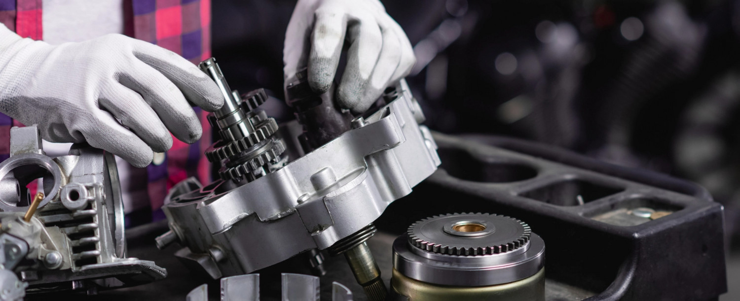 עמוד קולקציה לאתר