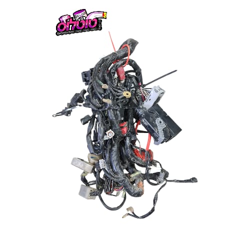 צמת חשמל מושלמת משומשת טריסיטי 300