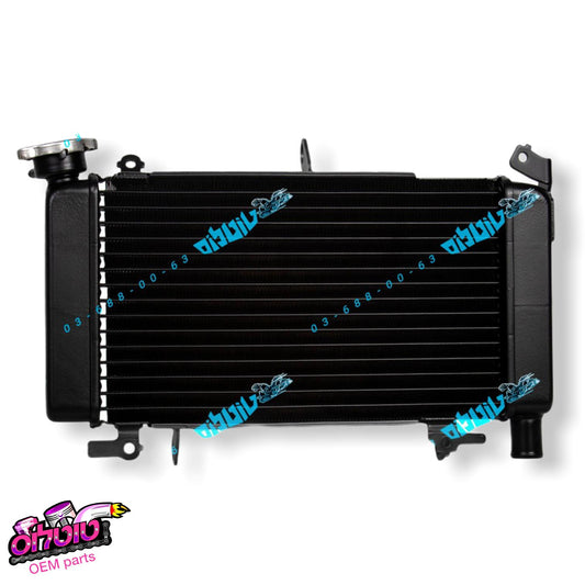 CBF 500 רדיאטור