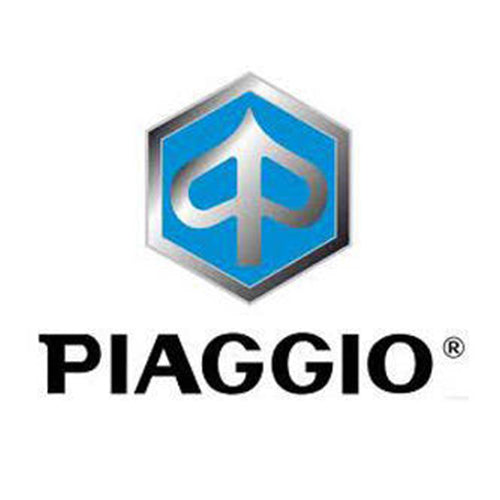 מסגרת ללוח שעונים משומש עבור פיאג'ו X-EVO 250