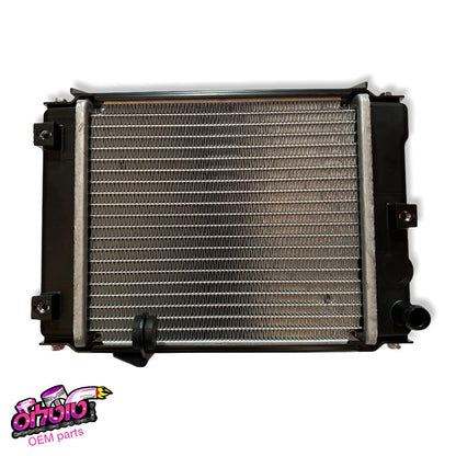 רדיאטור דאון טאון 250