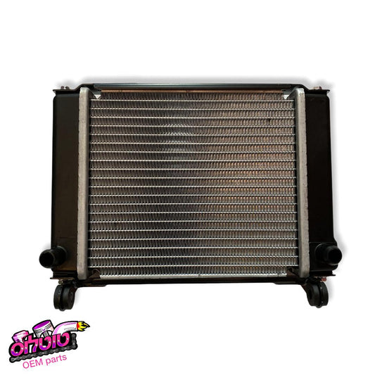 רדיאטור דאון טאון 250