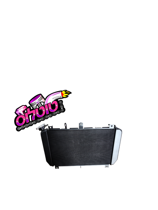 רדיאטור 2020 לZ900