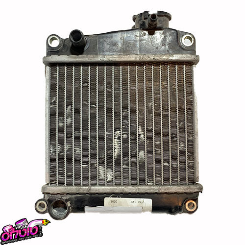 רדיאטור משומש ליד 100