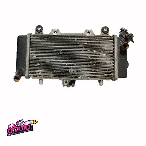 רדיאטור משומש וולף 250