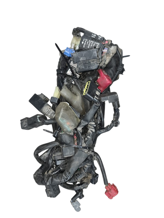 צמת חשמל ראשית משומשת להונדה רייבל 500 msx 500 מחיר 1350